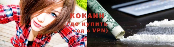 СК Новокубанск