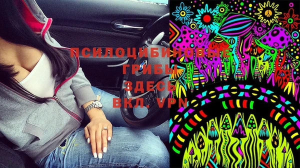 PSILOCYBIN Новодвинск