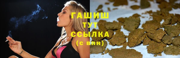 PSILOCYBIN Новодвинск