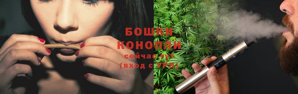 PSILOCYBIN Новодвинск