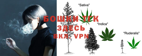 бошки Новозыбков