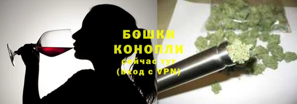 PSILOCYBIN Новодвинск
