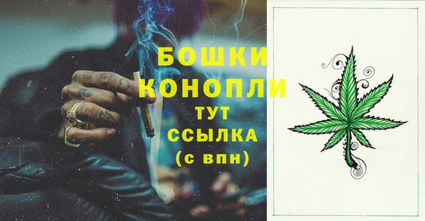 СК Новокубанск