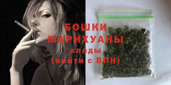 PSILOCYBIN Новодвинск