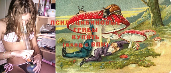 бошки Новозыбков