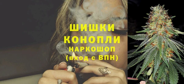 СК Новокубанск