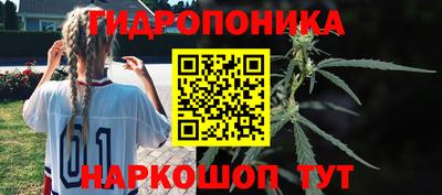 стафф Бийск
