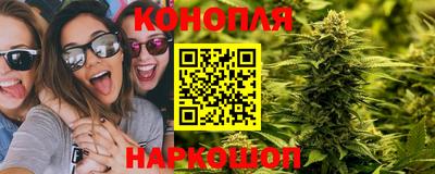 стафф Бийск