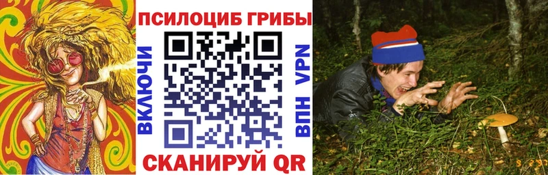 mega рабочий сайт  Аксай  Галлюциногенные грибы Cubensis 
