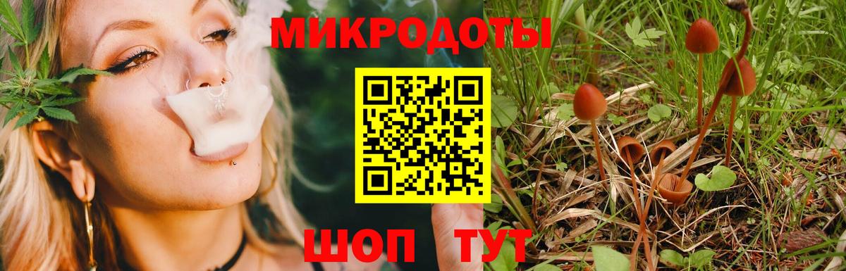 Аксай  Галлюциногенные грибы GOLDEN TEACHER  Галлюциногенные грибы Psilocybe  Вход с VPN 